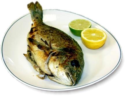 Зачем есть морскую рыбу? Польза рыбных блюд для организма