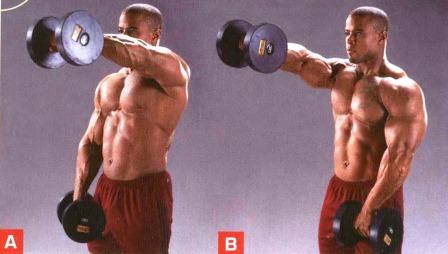 упражнение на передний пучок мышц плеча