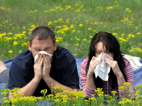 Весна: вооружаемся против аллергии