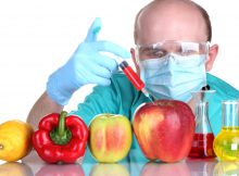 Вредны ли ГМО для нашего здоровья