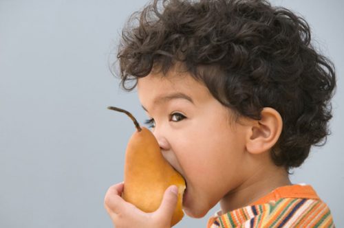 Естественный фруктовый антибиотик — груша