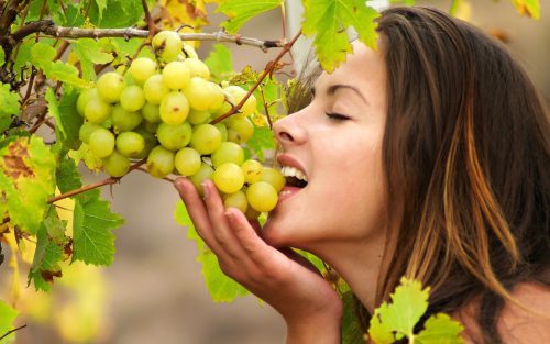 Виноград: полезный, вкусный, опасный