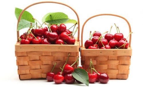 Вишня: лечебные свойства вкусной ягоды