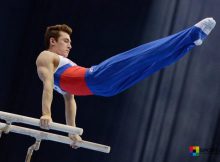 Спортивная гимнастика: понятие, виды, правила
