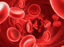 Низкий гемоглобин: как восполнить дефицит железа в организме