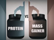 Что лучше: протеин или гейнер