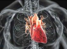 Что вызывает сердечную аритмию: почему может сбоить сердце