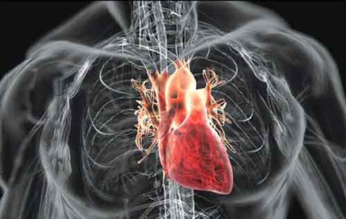 Что вызывает сердечную аритмию: почему может сбоить сердце