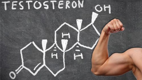 Как повысить тестостерон естественным путём