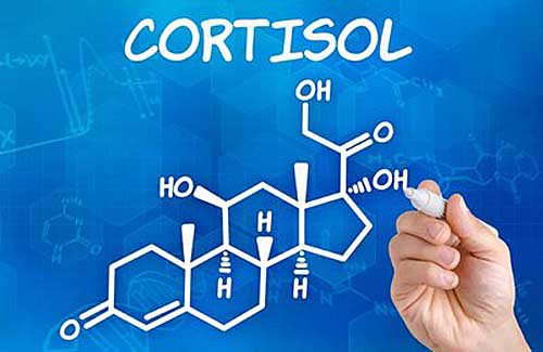 Как снизить кортизол в крови народными средствами