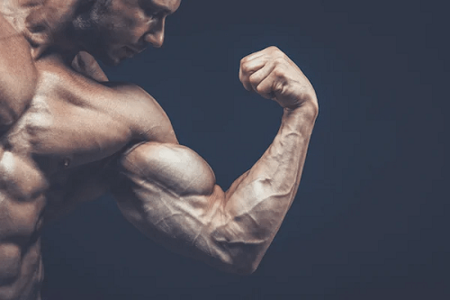 3 причины, почему ваши мышцы не растут
