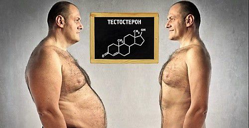 Как повысить уровень тестостерона у мужчин без медикаментов