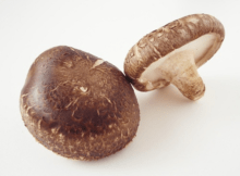 Лечебные свойства грибов шиитаке