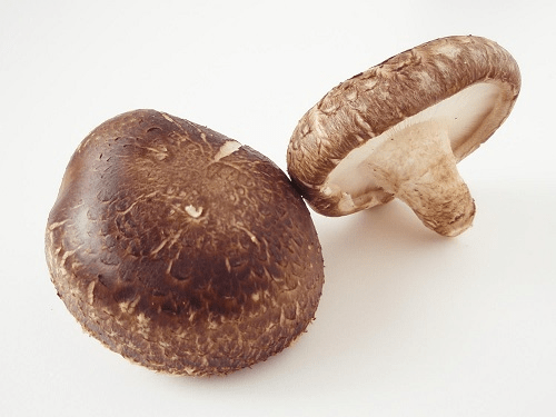 Лечебные свойства грибов шиитаке